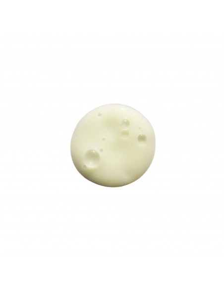 VA25-New-7